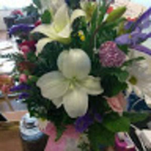 Meet your Posher, Cassandra